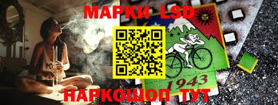 индика Лесосибирск