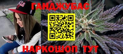 индика Лесосибирск
