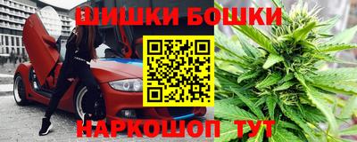 индика Лесосибирск