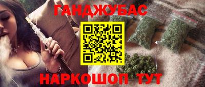индика Лесосибирск