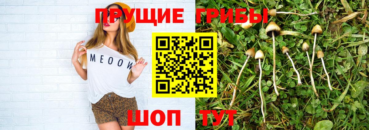 Псилоцибиновые грибы MAGIC MUSHROOMS Черняховск