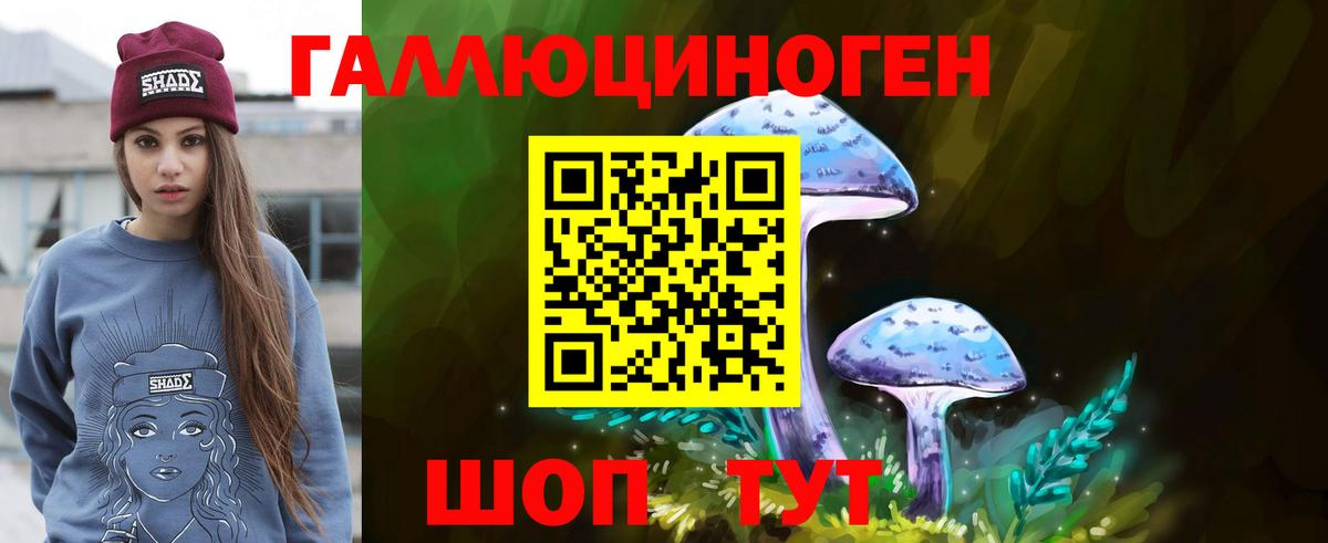 Черняховск  Галлюциногенные грибы GOLDEN TEACHER  Псилоцибиновые грибы Magic Shrooms  Вход с VPN 