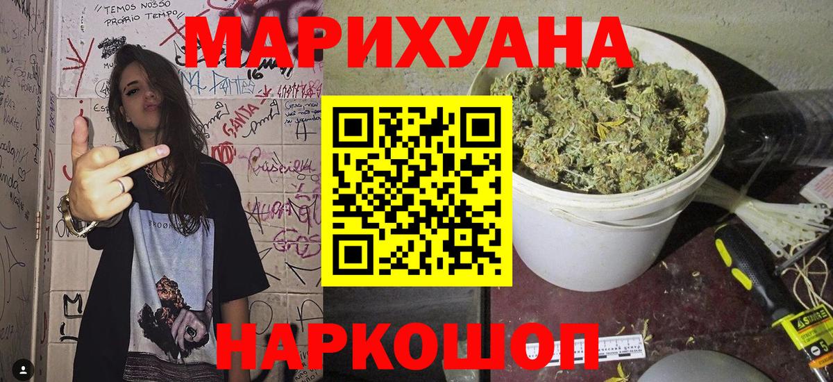 Бошки Шишки конопля Черняховск